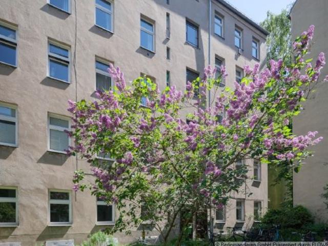 Bezugsfreie 1 Zimmer Altbauwohnung am Robert Koch Institut