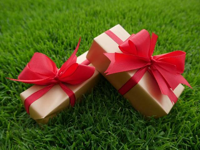 Bezugsfreie Dachgeschoss Wohnung im Grünen