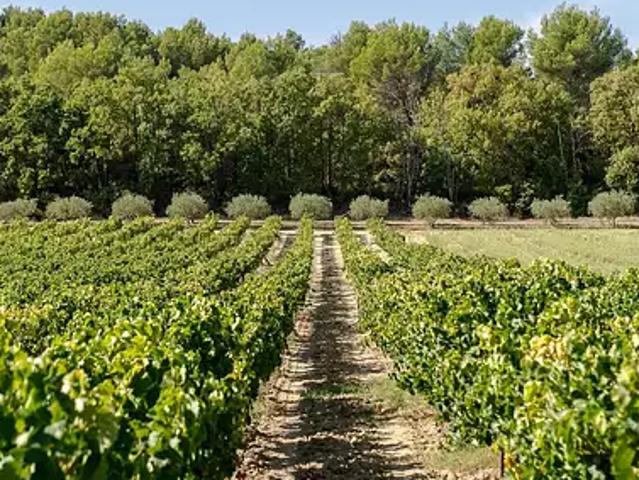 Béziers 34500 Achat / Vente maison 30 pièces t30