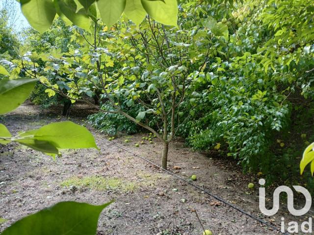 Bezouce Vente Terrain 30