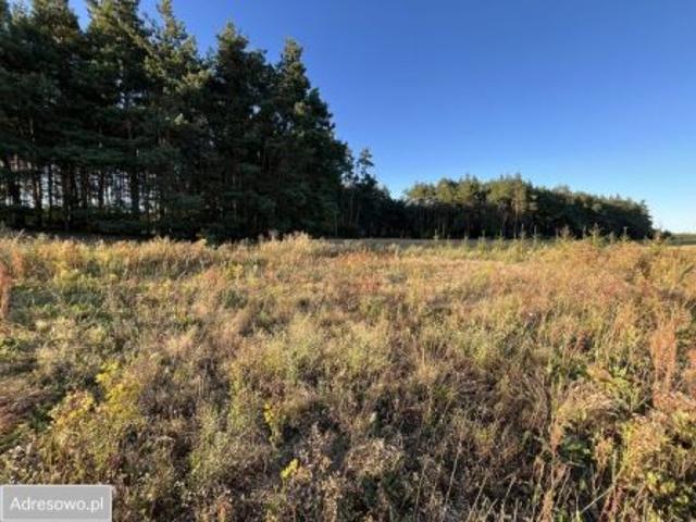 Bezpośrednio, Cekcyn, Cekcynek, 2095 m² Działka