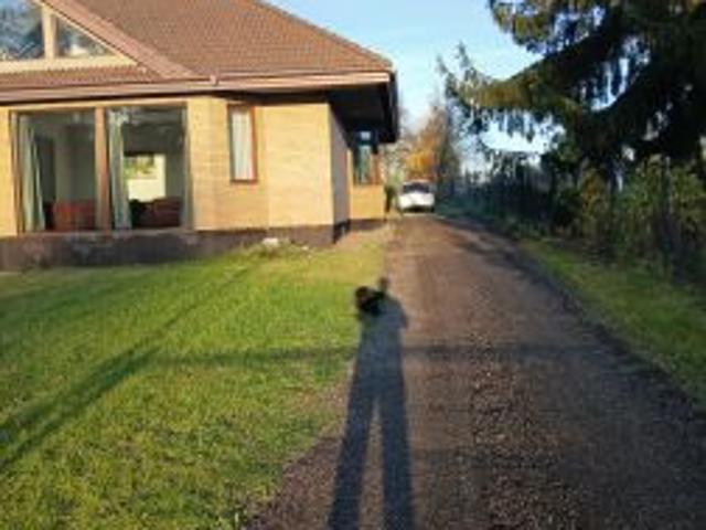 Bezpośrednio, Cesarka, 200 m² Dom