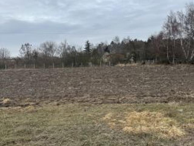 Bezpośrednio, Chwałkowo, Czartki, 1280 m² Działka