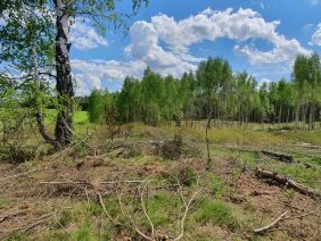 Bezpośrednio, Chwarzno, 1000 m² Działka