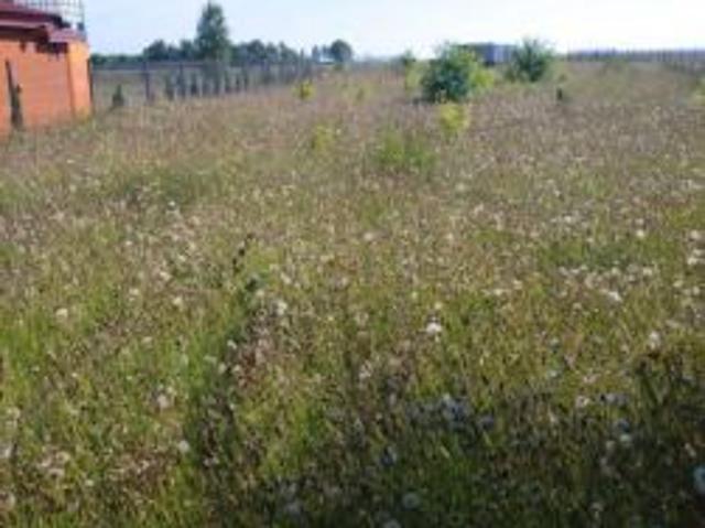 Bezpośrednio, Chłapowo, ul. Górnicza, 700 m² Działka