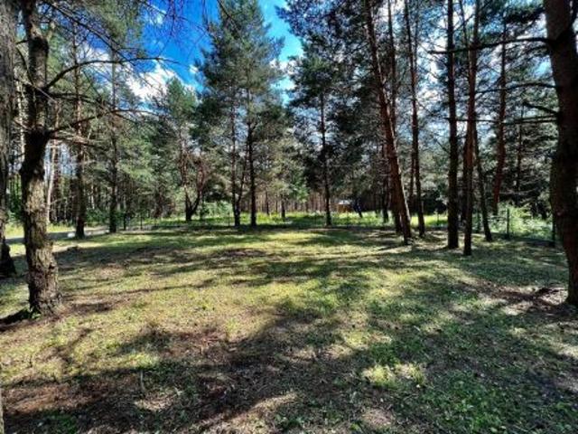 Bezpośrednio, Chańcza, 600 m² Działka