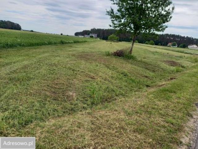 Bezpośrednio, Chajęty, 5800 m² Działka
