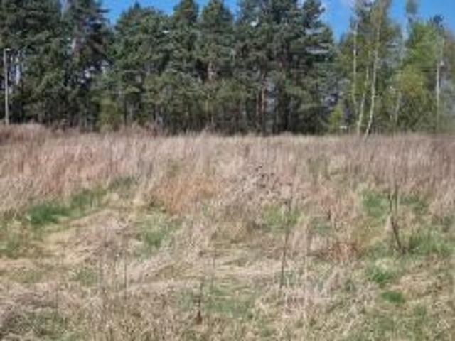 Bezpośrednio, Chełmce, 1500 m² Działka