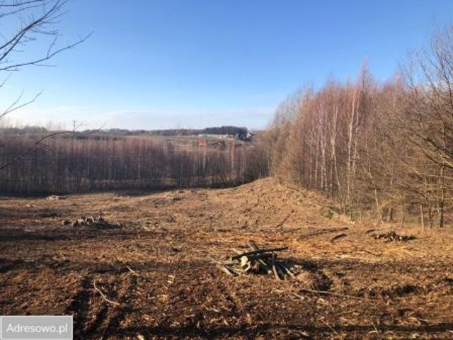 Bezpośrednio, Chmielnik, 5300 m² Działka