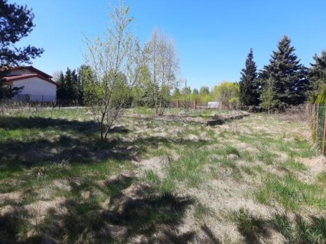 Bezpośrednio, Chociszew, 1124 m² Działka