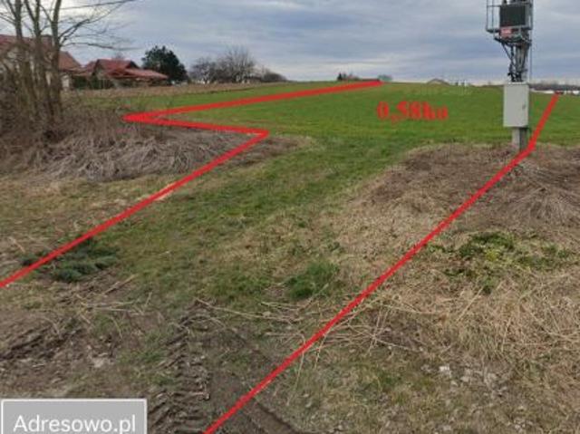 Bezpośrednio, Cholerzyn, 5800 m² Działka