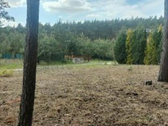 Bezpośrednio, Chomiąża Szlachecka, 660 m² Działka