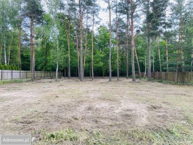 Bezpośrednio, Chotomów, ul. Tulipanowa, 1350 m² Działka