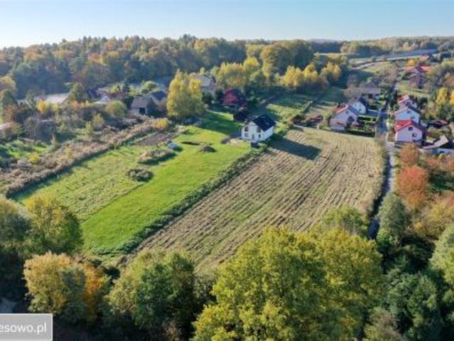 Bezpośrednio, Chrosna, 5975 m² Działka
