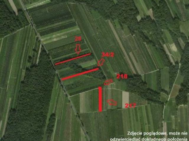 Bezpośrednio, Chruślina, 16142 m² Działka