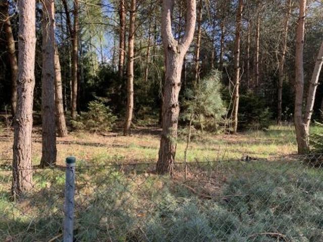 Bezpośrednio, Chrustne, 2200 m² Działka