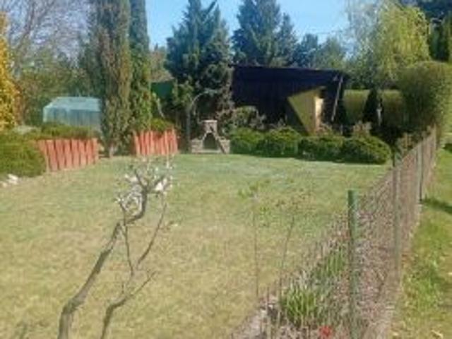 Bezpośrednio, Ciechanów, 300 m² Działka