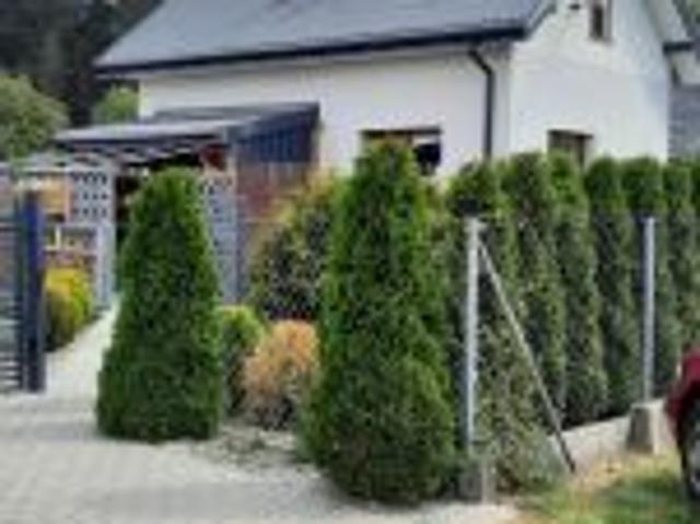 Bezpośrednio, Ciechocinek, 58 m² Dom