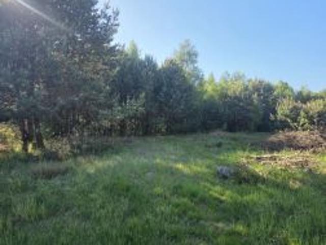 Bezpośrednio, Ciekoty, 1229 m² Działka