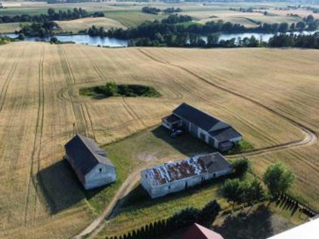 Bezpośrednio, Cielęta, 3000 m² Działka