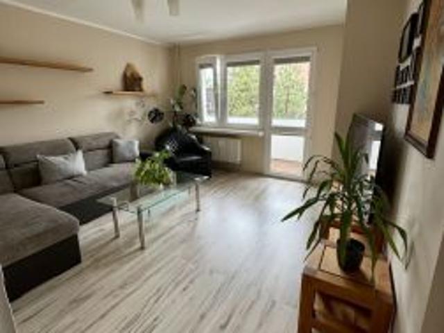 Bezpośrednio, Cieszyn, 50 m² Mieszkanie