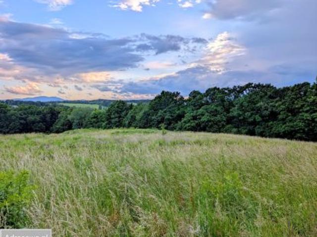 Bezpośrednio, Cieszów, ul. Wilcza, 3000 m² Działka