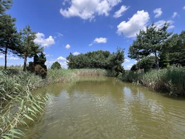 Bezpośrednio, Ciepielów Kolonia, Ciepielów Drugi, 2279 m² Działka
