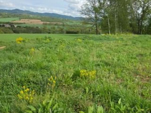 Bezpośrednio, Ścinawica, 957 m² Działka