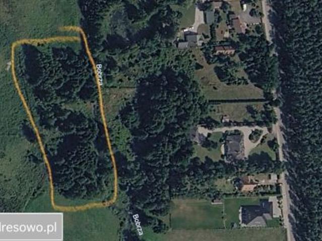 Bezpośrednio, Ciosowa, ul. Leśna, 8300 m² Działka