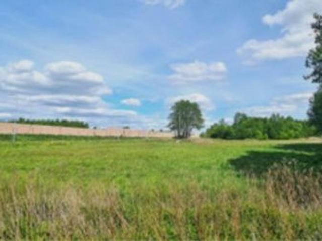 Bezpośrednio, Cisie, 3900 m² Działka