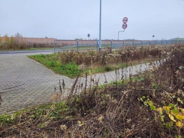 Bezpośrednio, Cisie, 7400 m² Działka