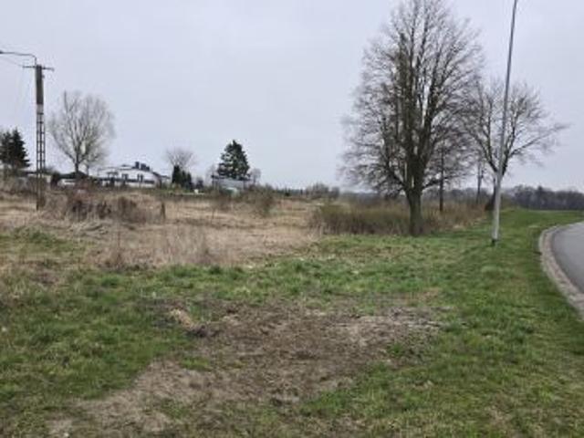 Bezpośrednio, Cygusy, 3249 m² Działka