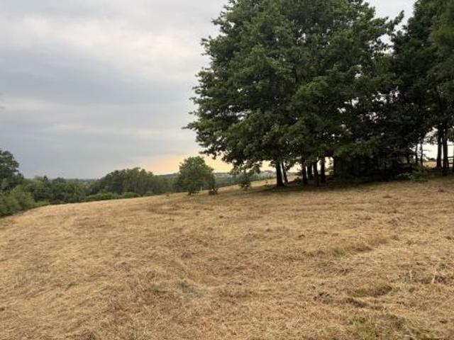 Bezpośrednio, Czyżów, 13000 m² Działka