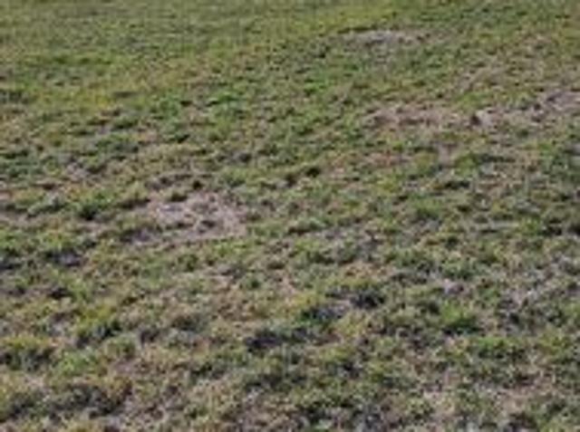 Bezpośrednio, Czyprki, 3000 m² Działka
