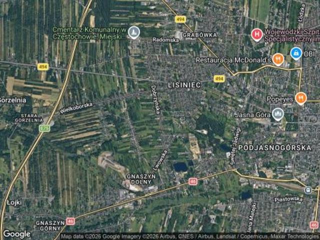 Bezpośrednio, Częstochowa, Lisiniec, ul. Dobrzyńska, 270 m² Dom