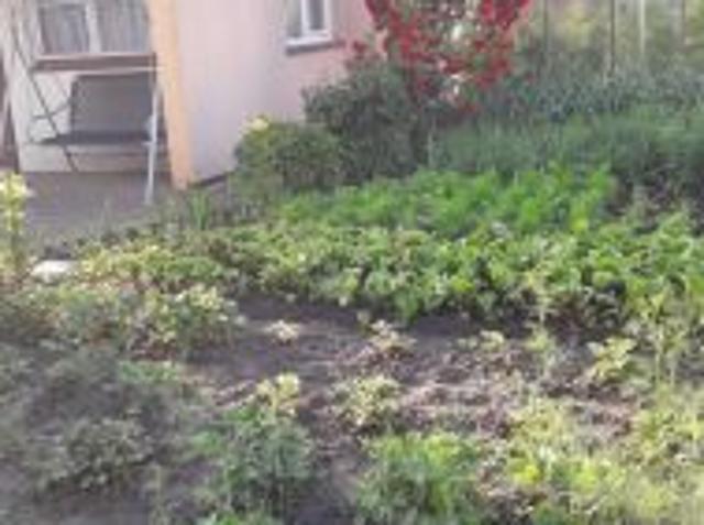 Bezpośrednio, Człuchów, ul. Koszalińska, 300 m² Działka