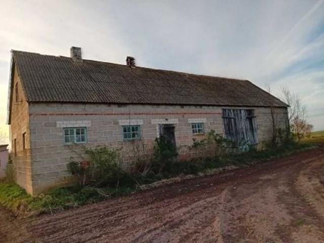 Bezpośrednio, Czamanin Kolonia, 100 m² Dom
