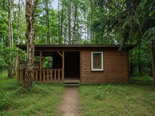 Bezpośrednio, Czarny Las, 58900 m² Działka
