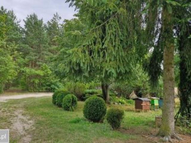 Bezpośrednio, Czarna, Galbierka, 64000 m² Działka
