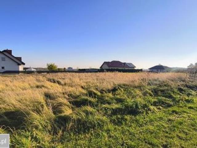 Bezpośrednio, Czarna Łąka, 1001 m² Działka