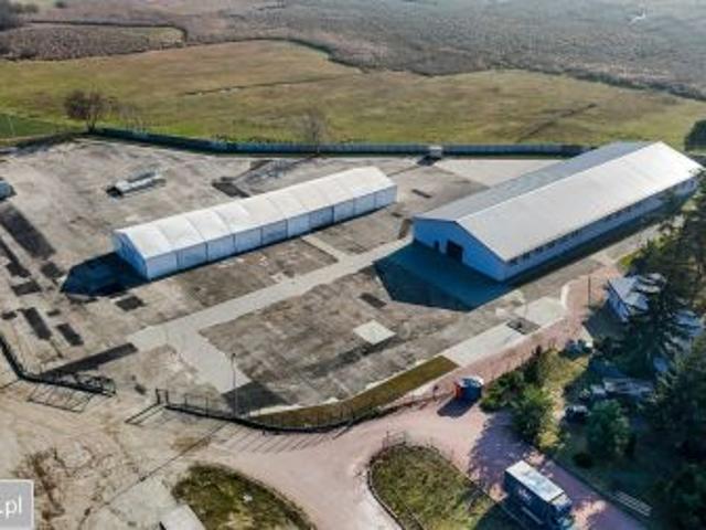 Bezpośrednio, Czarne Piątkowo, 17000 m² Działka