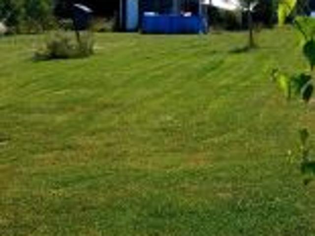 Bezpośrednio, Czechówka, ul. Kolonia, 1000 m² Działka