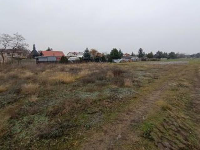 Bezpośrednio, Czeszewo, 1100 m² Działka