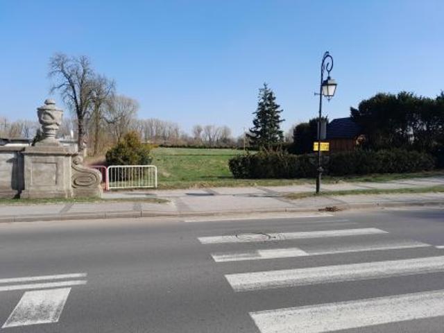 Bezpośrednio, Czerniejewo, ul. Pałacowa, 6087 m² Działka