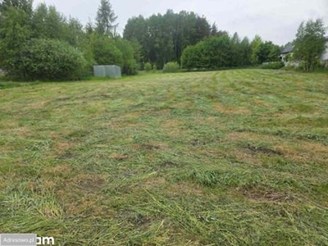 Bezpośrednio, Czersk, ul. Poziomkowa, 2955 m² Działka