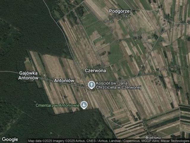 Bezpośrednio, Czerwona, 10000 m² Działka
