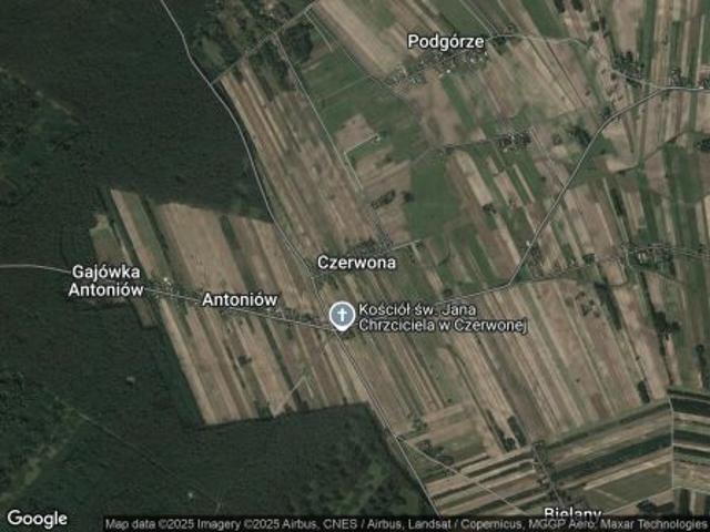 Bezpośrednio, Czerwona, 11000 m² Działka