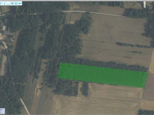Bezpośrednio, Czerwonka, 17100 m² Działka