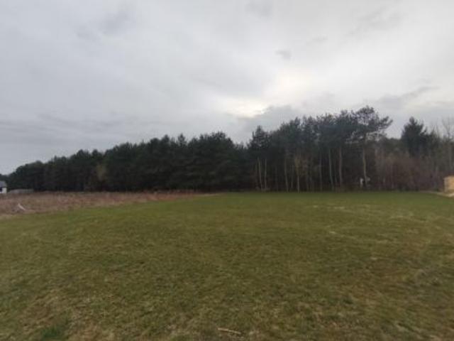 Bezpośrednio, Łęczna, Bobrowniki, 4803 m² Działka