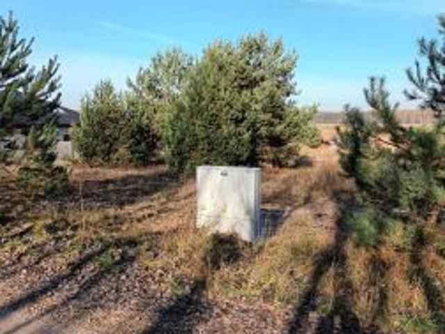 Bezpośrednio, Czosnówka, ul. Olchowa, 1265 m² Działka